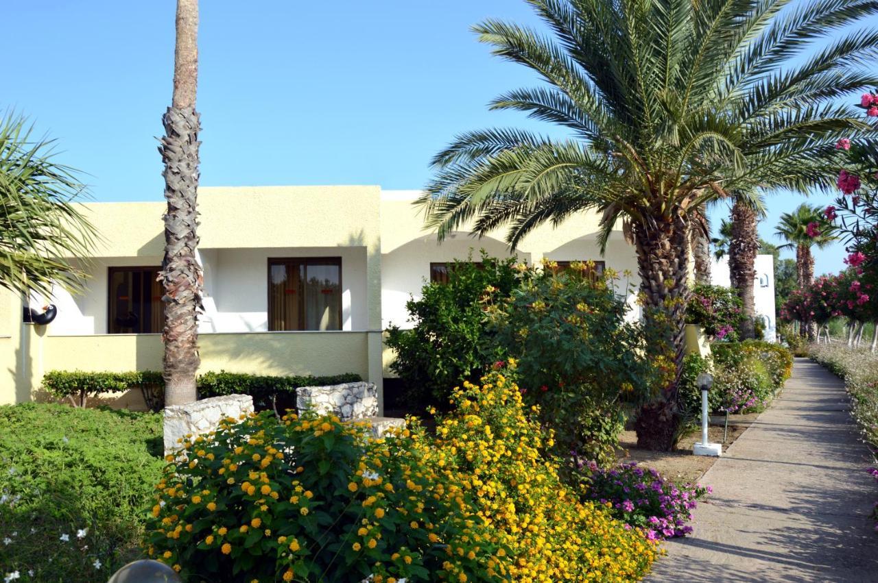 Muses Hotel Faliraki Dış mekan fotoğraf