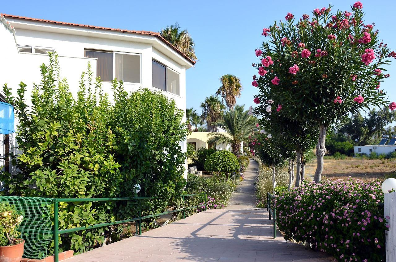 Muses Hotel Faliraki Dış mekan fotoğraf