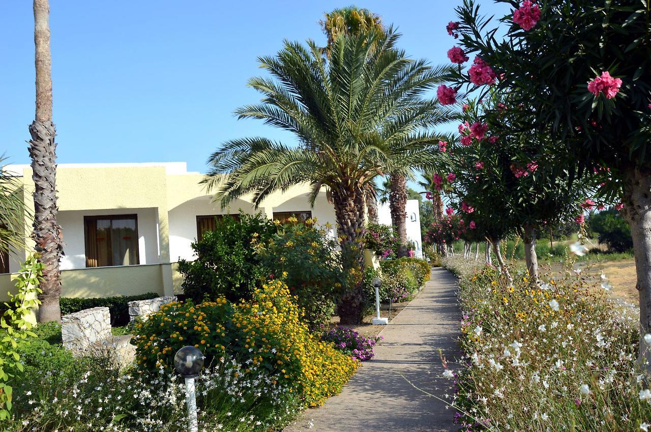 Muses Hotel Faliraki Dış mekan fotoğraf