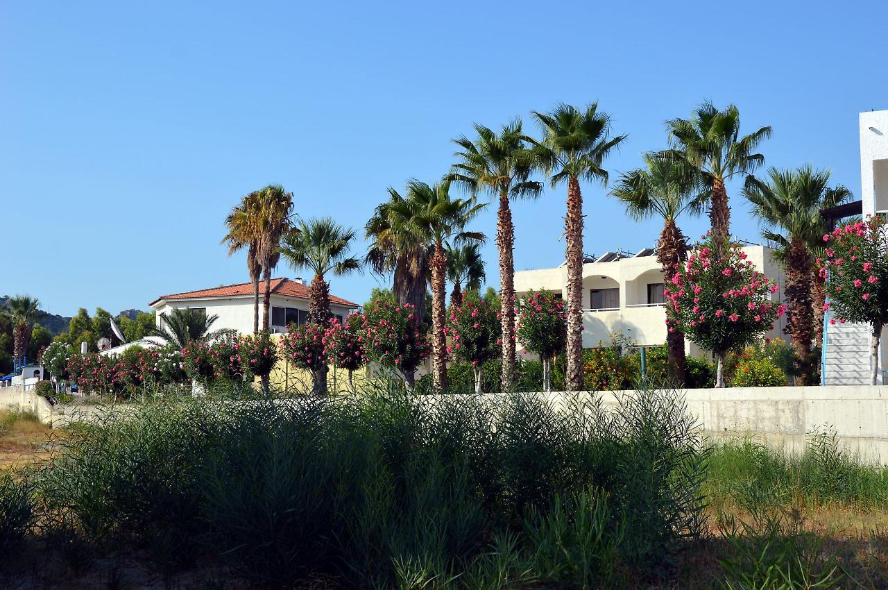 Muses Hotel Faliraki Dış mekan fotoğraf